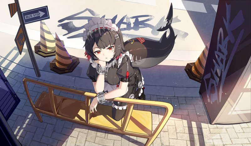 动漫 · 动漫女孩 · 尾巴 4788x2800 #k836qd