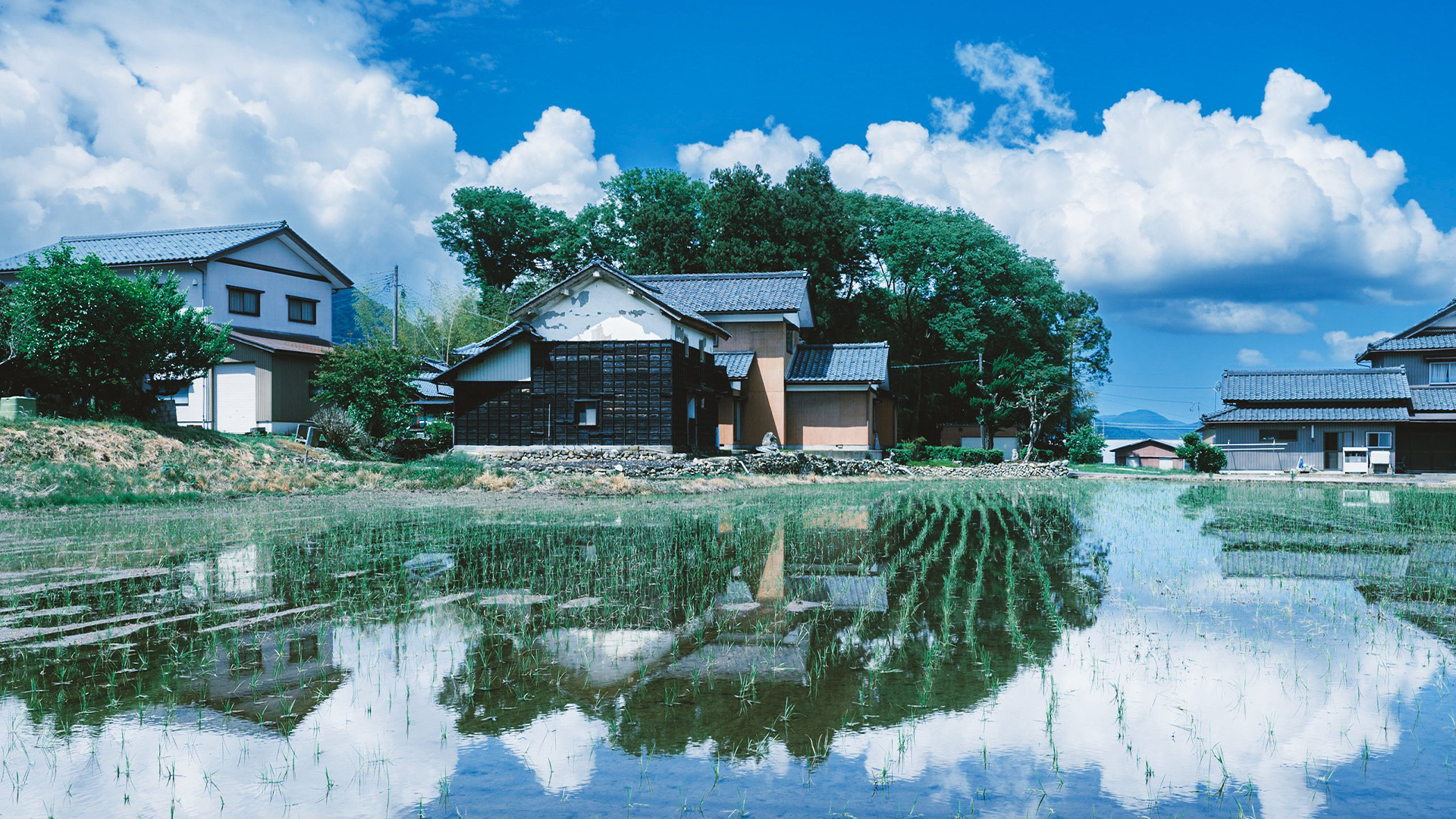 https://whvn.cc/rq7xpq